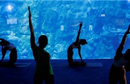 Lớp học yoga giữa &#39;lòng đại dương&#39;