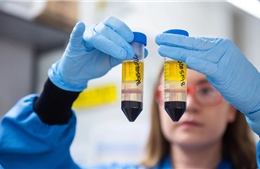 Vaccine phòng COVID-19 có thể phân chia theo lứa tuổi