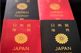 Tòa án tối cao Nhật Bản giữ nguyên phán quyết cấm công dân mang hai quốc tịch