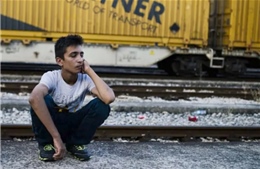 17 trẻ nhập cư biến mất mỗi ngày tại châu Âu