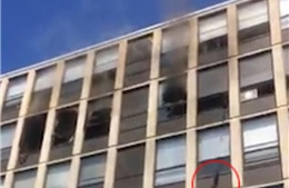 Mèo tự nhảy khỏi tầng 5 tòa nhà đang cháy
