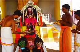 Người dân Ấn Độ thờ thần Corona