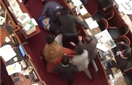 Các nghị sĩ Blovia ẩu đả giữa phiên họp quốc hội