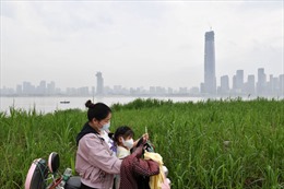 Vành đai kinh tế sông Dương Tử - Điển hình chuyển đổi mô hình kinh tế của Trung Quốc