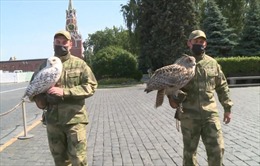 Câu chuyện về &#39;tân binh biết bay&#39; bảo vệ Điện Kremlin