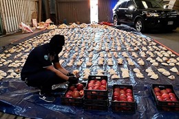 Saudi Arabia tịch thu 4,5 triệu viên thuốc kích thích giấu trong thùng cam