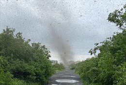Video &#39;lốc xoáy muỗi&#39; đen kịt bầu trời tại Nga