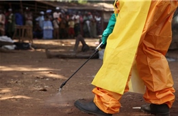 Quốc gia châu Phi phát hiện ca nhiễm virus &#39;họ hàng của Ebola&#39;