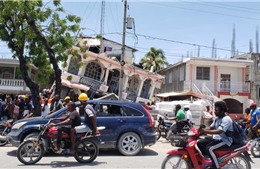 Đã có trên 300 người thiệt mạng vì động đất tại Haiti