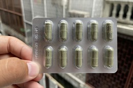 Thái Lan sử dụng thảo dược truyền thống để hỗ trợ điều trị COVID-19