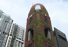 Tòa nhà &#39;chống nắng&#39; bằng cây xanh tại Singapore