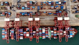 Dịch COVID-19 khiến container trở thành mặt hàng đắt đỏ