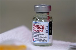 Cơ quan y tế Pháp khuyến nghị người dưới 30 tuổi không nên tiêm vaccine Moderna