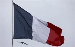 Điện Élysée đổi màu quốc kỳ Pháp hơn 1 năm mà không ai nhận ra