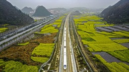 Đường sắt cao tốc Trung Quốc có chiều dài bằng đường xích đạo
