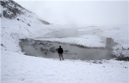 Cận cảnh ‘spa’ giữa tuyết trắng dành cho trâu tại Thổ Nhĩ Kỳ