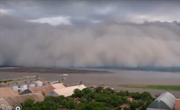 Đám mây tro bụi bủa vây miền Nam Paraguay 