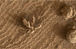 Tàu thám hiểm NASA chụp ảnh &#39;bông hoa nhỏ&#39; trên Sao Hỏa