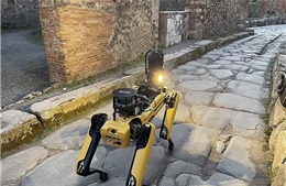 Thành phố cổ Italy &#39;tuyển&#39; robot chó để chống kẻ săn trộm