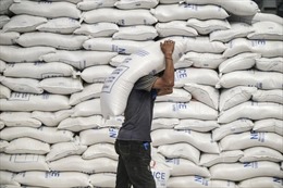 Gạo giúp các nước châu Á giảm rủi ro lạm phát thực phẩm