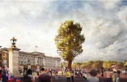 Anh dự định trưng bày tượng khổng lồ từ 350 cây xanh ngoài Điện Buckingham