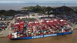 Vận tải biển toàn cầu lại gặp khó khăn vì đợt phong tỏa ở Trung Quốc