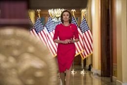 Sự nghiệp chính trị của Chủ tịch Hạ viện Mỹ Nancy Pelosi