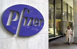 Pfizer sẵn sàng ra mắt vaccine RSV tại Mỹ, châu Âu