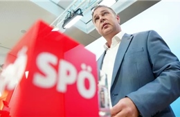 Đảng chính trị Áo công bố nhầm lãnh đạo mới do... lỗi Excel