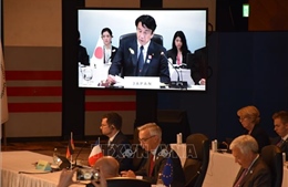 G7 thúc đẩy hợp tác trong lĩnh vực luật pháp và tư pháp