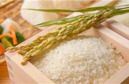 Quá trình ‘phai nhạt tình yêu’ với gạo của người Nhật Bản