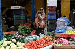 Khủng hoảng cà chua với giá tăng 400% tại Ấn Độ