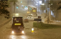 Hong Kong (Trung Quốc) tê liệt vì mưa lớn kỷ lục kể từ năm 1884