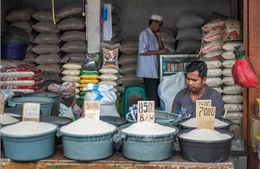 Biện pháp thích nghi với giá gạo tăng cao của người dân Indonesia