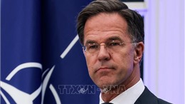 Thủ tướng Hà Lan bày tỏ quan tâm đến vị trí tổng thư ký NATO