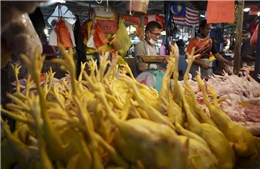 Malaysia ngừng trợ cấp giá thịt gà, cảnh báo tình trạng mua tích trữ