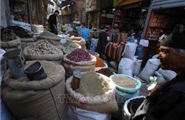 Chỉ số giá thực phẩm toàn cầu giảm xuống mức thấp nhất 2 năm
