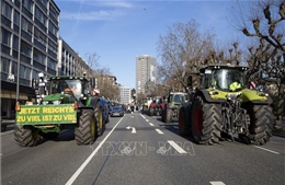 Nguồn cơn khiến người nông dân châu Âu bất bình đổ ra đường biểu tình