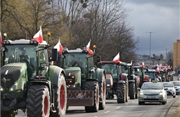 Tổng thống Ukraine mời lãnh đạo Ba Lan đến biên giới để giải quyết vấn đề nông sản
