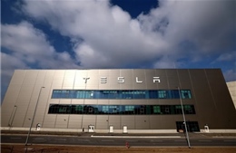 Tỷ phú Musk gọi vụ phóng hỏa nhà máy Tesla ở Đức là &#39;khủng bố sinh thái&#39;