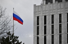 Đại sứ quán Nga liên hệ chặt chẽ với Bộ Ngoại giao Mỹ trước thềm bầu cử tổng thống Nga