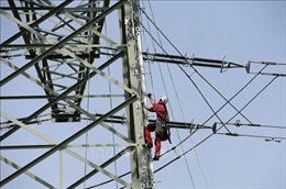 Sáng kiến mới của Brazil để giảm giá điện