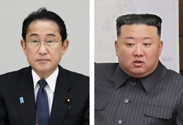 Quan chức Triều Tiên tiết lộ Thủ tướng Nhật Bản đề xuất họp thượng đỉnh