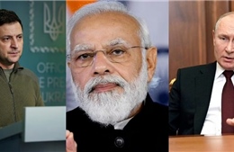 Ukraine tìm kiếm ủng hộ từ Ấn Độ giúp chấm dứt xung đột với Nga