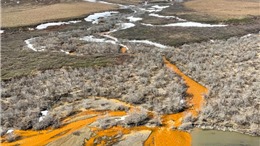 Nước nhiều con sông tại bang Alaska (Mỹ) bất ngờ chuyển sang màu cam
