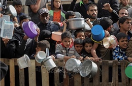 Quan chức WHO nói về tình cảnh bi thảm chưa từng có của người dân Gaza