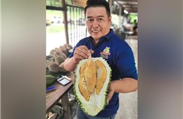 &#39;Tân binh&#39; sầu riêng lăm le soán ngôi Musang King và Black Thorn