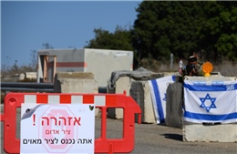 Hai con khỉ ở Liban vượt biên, &#39;gõ cửa&#39; nhà dân Israel