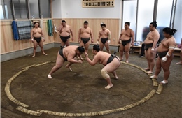 Sumo - Biểu tượng thể thao của Nhật Bản đang rơi vào thời kỳ khủng hoảng?