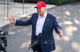 Các động thái của EU khi gần đến hạn chót hoãn thuế của Tổng thống Trump